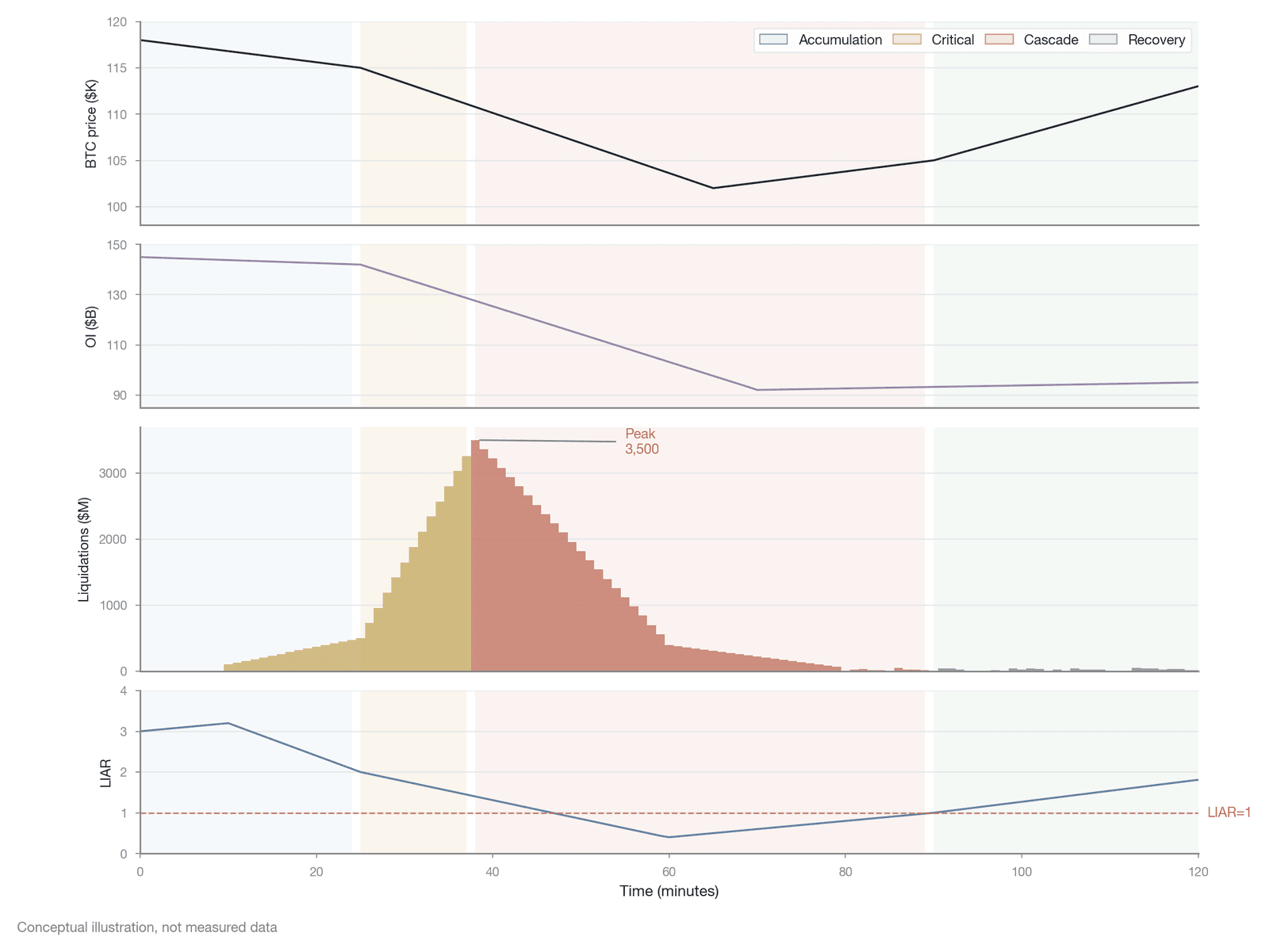 A four-phase dynamic model of the liquidation cascade (conceptual illustration: a stylized dynamic model by the author based on the data pattern of the "10.10 event" of 2025, not tick-by-tick empirical data)