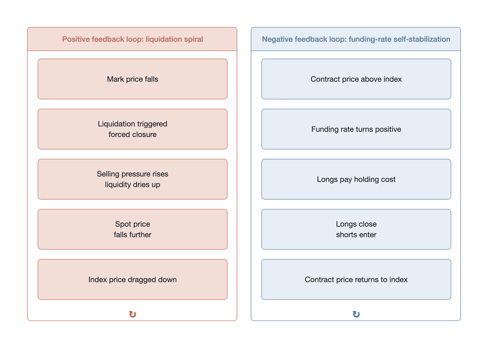 Comparison of the positive-feedback and negative-feedback loops