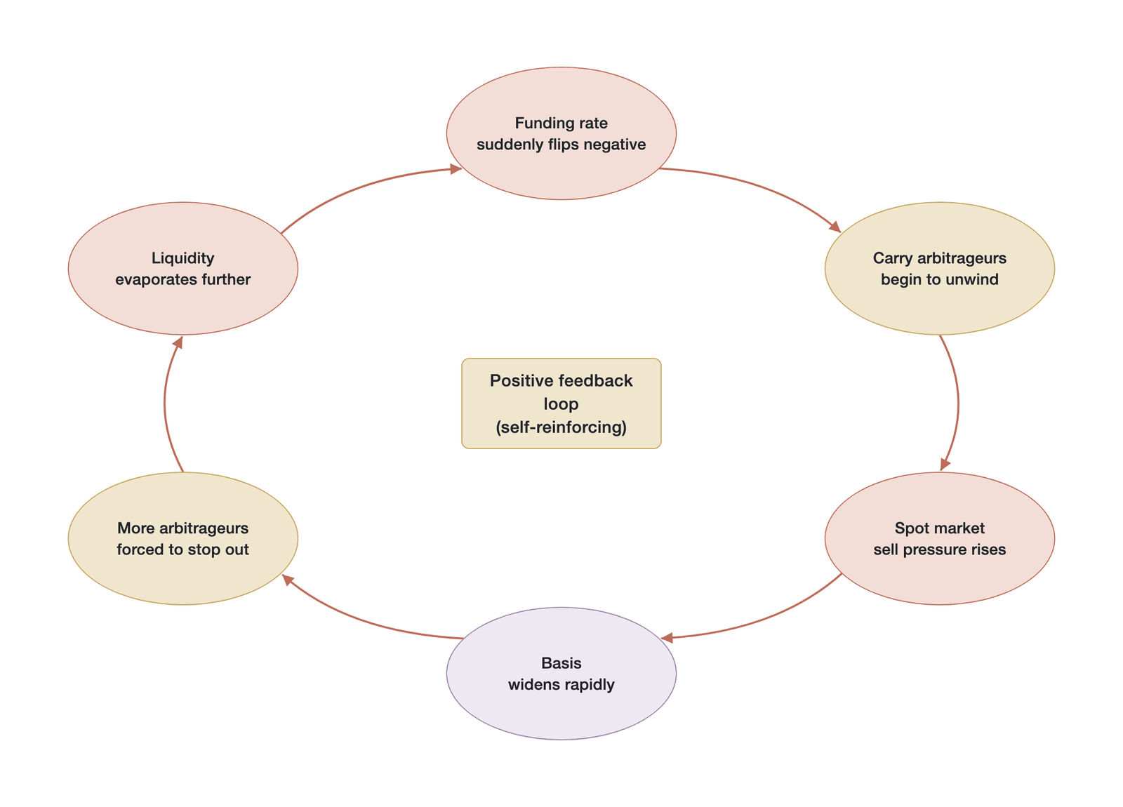 Schematic of the positive-feedback-loop mechanism by which funding rate reversal triggers an arbitrageur stampede (Data source: mechanism schematic drawn by the author, not empirical data)