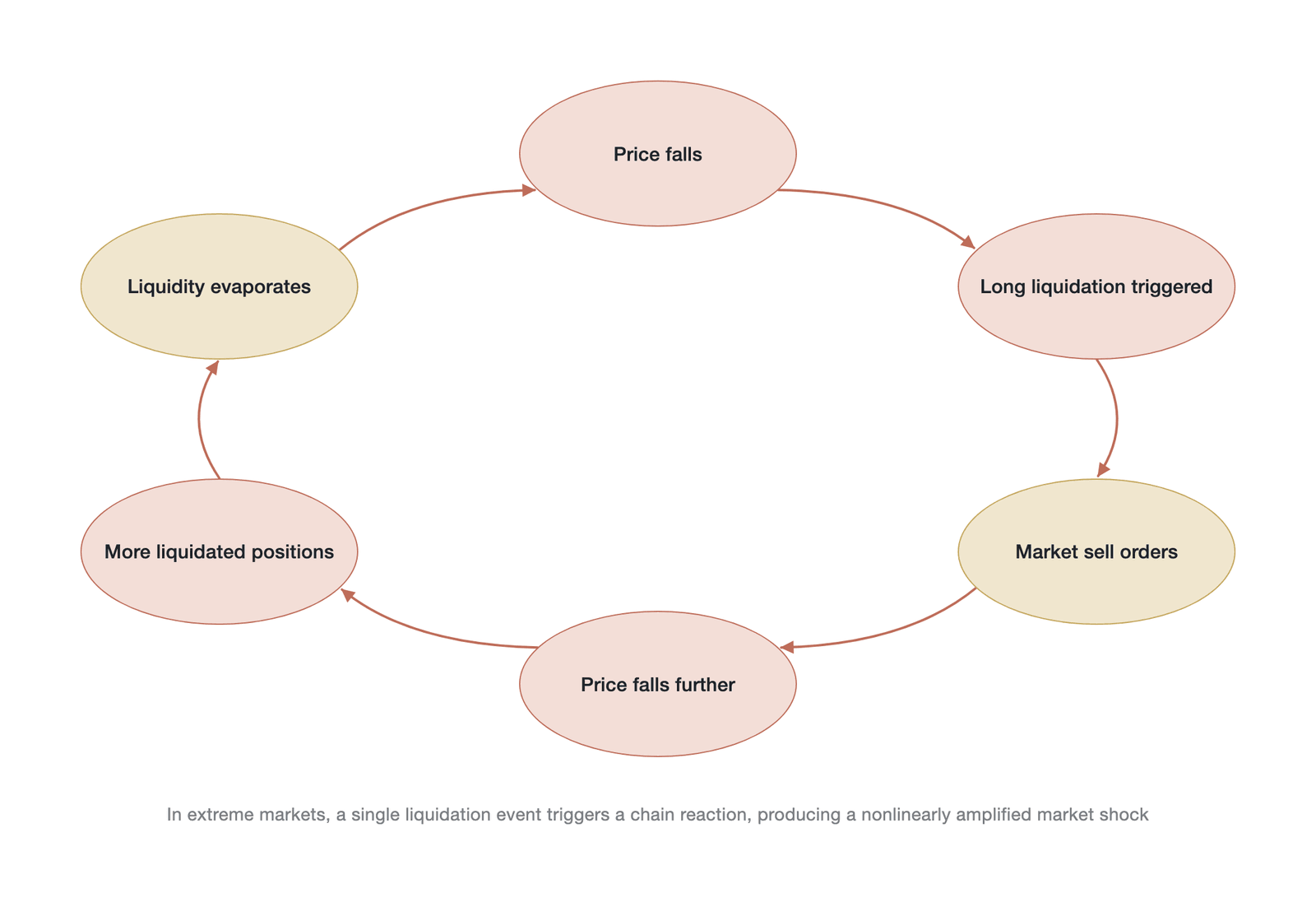 Schematic of the positive-feedback-loop mechanism of a liquidation cascade (Data source: mechanism schematic drawn by the author, not empirical data)