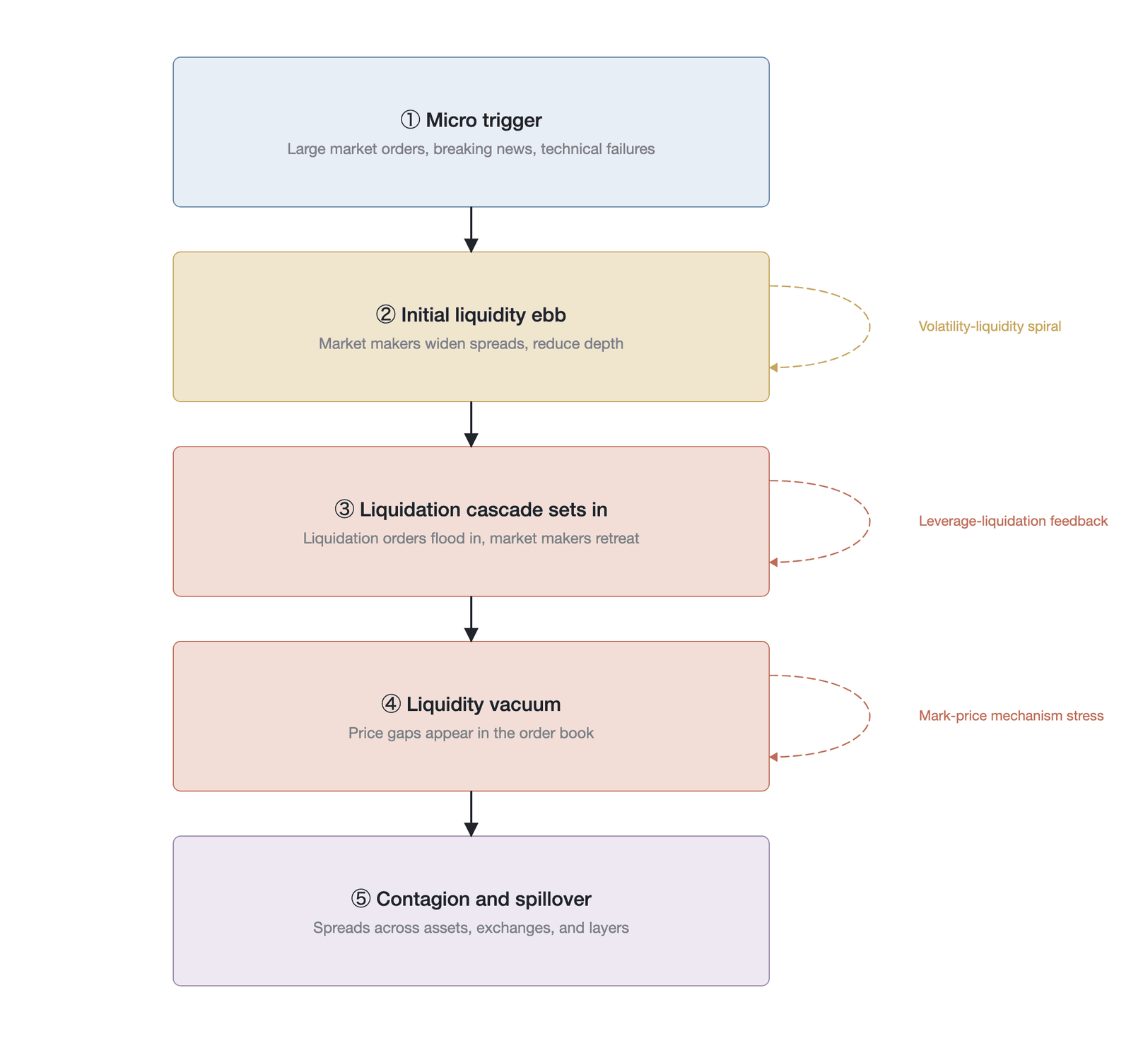 A schematic of the five-stage model of liquidity evaporation and its positive-feedback loops