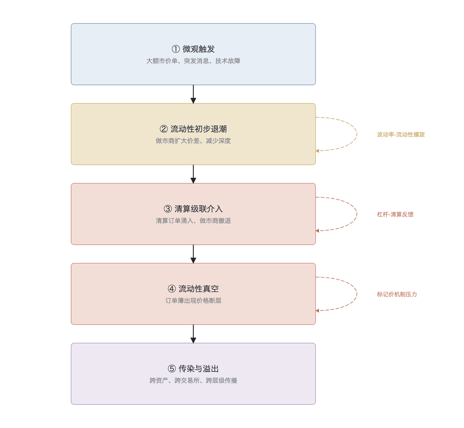 流动性蒸发五阶段模型与正反馈环路示意图